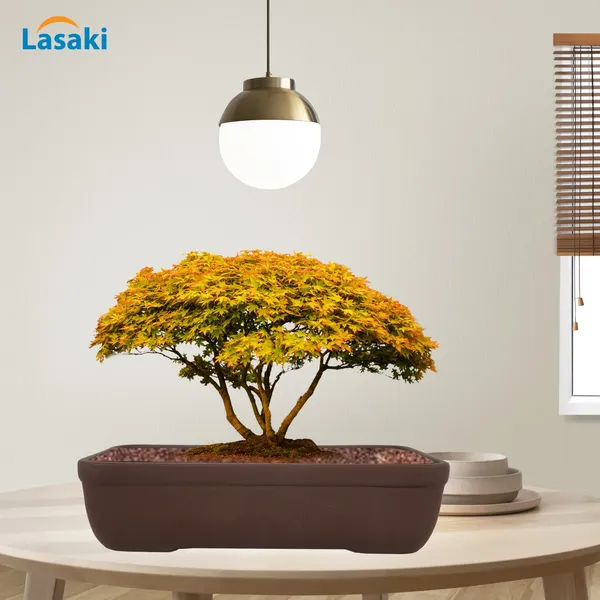 Rectangle_Truffle_Rec002_Ceramic_Pots_For_Indoor_Plants,Bonsai,Planters,Gamla,Outdoor,Balcony,Home,Garden,Office_Decor,Succulent(L_-_26_X_W_-_18.5_X_H_-_7_Cm)