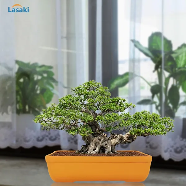 Rectangle_Lily_Rec002_Ceramic_Pots_For_Indoor_Plants,Bonsai,Planters,Gamla,Outdoor,Balcony,Home,Garden,Office_Decor,Succulent(L_-_26_X_W_-_18.5_X_H_-_7_Cm)