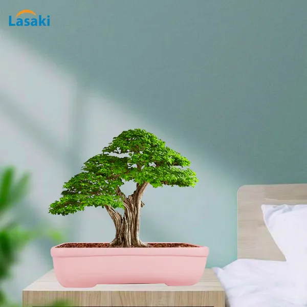 Rectangle_Pink_Rec002_Ceramic_Pots_For_Indoor_Plants,Bonsai,Planters,Gamla,Outdoor,Balcony,Home,Garden,Office_Decor,Succulent(L_-_26_X_W_-_18.5_X_H_-_7_Cm)