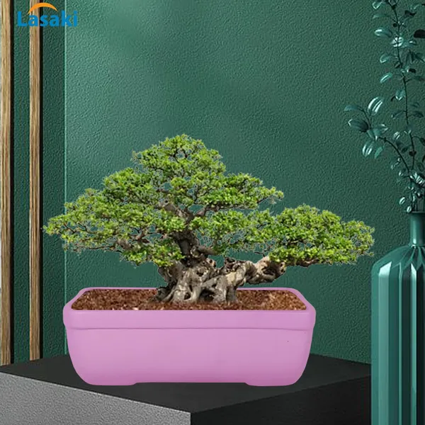 Rectangle_Purple_Rec002_Ceramic_Pots_For_Indoor_Plants,Bonsai,Planters,Gamla,Outdoor,Balcony,Home,Garden,Office_Decor,Succulent(L_-_26_X_W_-_18.5_X_H_-_7_Cm)