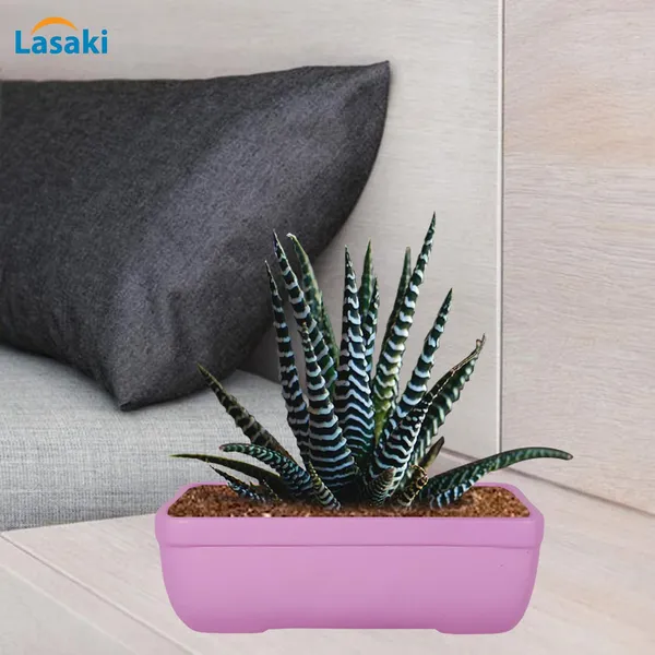 Rectangle_Purple_Rec002_Ceramic_Pots_For_Indoor_Plants,Bonsai,Planters,Gamla,Outdoor,Balcony,Home,Garden,Office_Decor,Succulent(L_-_26_X_W_-_18.5_X_H_-_7_Cm)