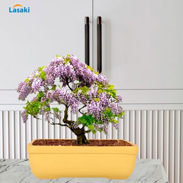 Rectangle_Saffron_Rec002_Ceramic_Pots_For_Indoor_Plants,Bonsai,Planters,Gamla,Outdoor,Balcony,Home,Garden,Office_Decor,Succulent(L_-_26_X_W_-_18.5_X_H_-_7_Cm)