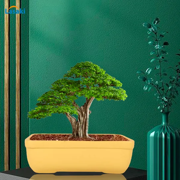 Rectangle_Saffron_Rec002_Ceramic_Pots_For_Indoor_Plants,Bonsai,Planters,Gamla,Outdoor,Balcony,Home,Garden,Office_Decor,Succulent(L_-_26_X_W_-_18.5_X_H_-_7_Cm)