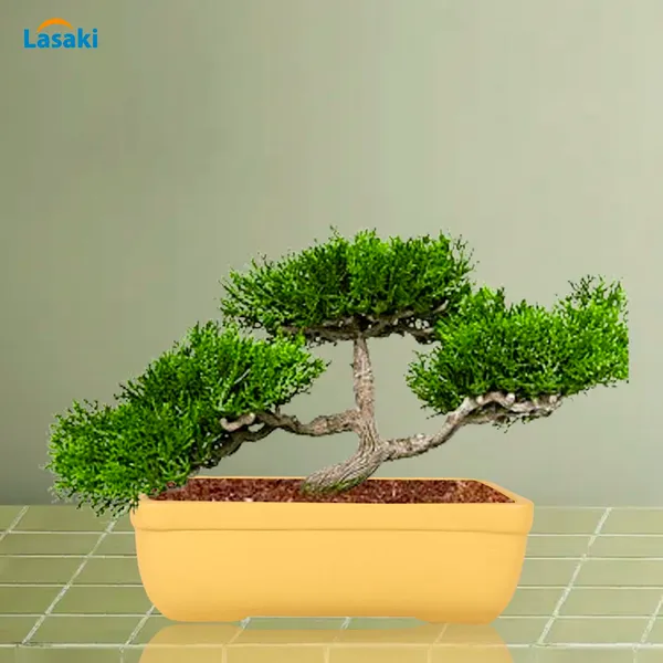 Rectangle_Saffron_Rec002_Ceramic_Pots_For_Indoor_Plants,Bonsai,Planters,Gamla,Outdoor,Balcony,Home,Garden,Office_Decor,Succulent(L_-_26_X_W_-_18.5_X_H_-_7_Cm)