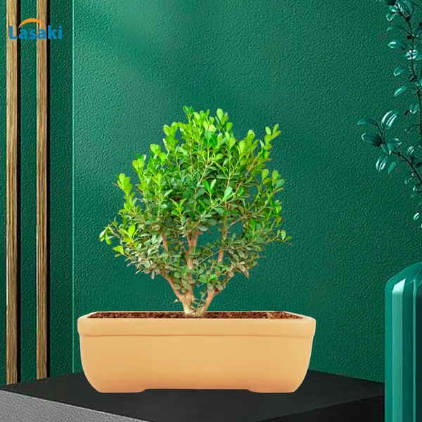 Rectangle_Ginger_Rec002_Ceramic_Pots_For_Indoor_Plants,Bonsai,Planters,Gamla,Outdoor,Balcony,Home,Garden,Office_Decor,Succulent(L_-_26_X_W_-_18.5_X_H_-_7_Cm)