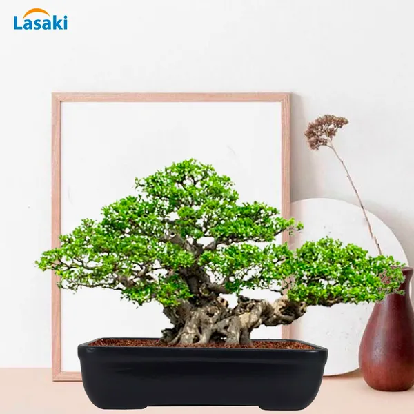 Rectangle_Black_Rec002_Ceramic_Pots_For_Indoor_Plants,Bonsai,Planters,Gamla,Outdoor,Balcony,Home,Garden,Office_Decor,Succulent(L_-_26_X_W_-_18.5_X_H_-_7_Cm)