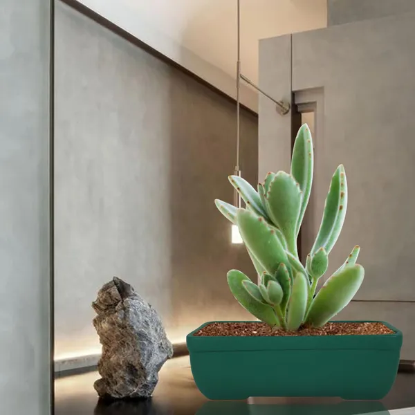 Rectangle_Deep_Jungle_Rec002_Ceramic_Pots_For_Indoor_Plants,Bonsai,Planters,Gamla,Outdoor,Balcony,Home,Garden,Office_Decor,Succulent(L_-_26_X_W_-_18.5_X_H_-_7_Cm)