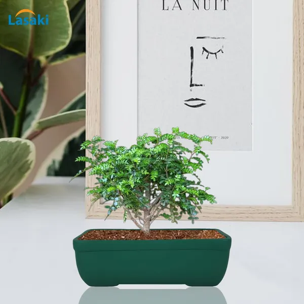 Rectangle_Deep_Jungle_Rec002_Ceramic_Pots_For_Indoor_Plants,Bonsai,Planters,Gamla,Outdoor,Balcony,Home,Garden,Office_Decor,Succulent(L_-_26_X_W_-_18.5_X_H_-_7_Cm)