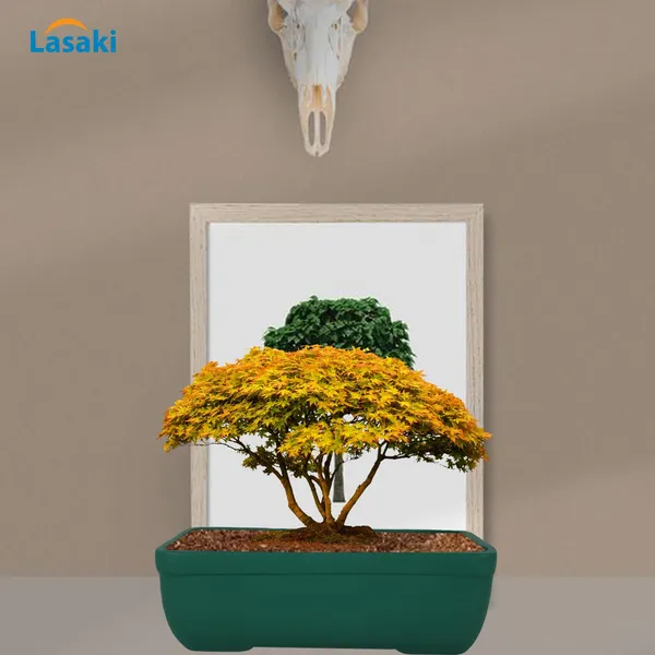 Rectangle_Deep_Jungle_Rec002_Ceramic_Pots_For_Indoor_Plants,Bonsai,Planters,Gamla,Outdoor,Balcony,Home,Garden,Office_Decor,Succulent(L_-_26_X_W_-_18.5_X_H_-_7_Cm)