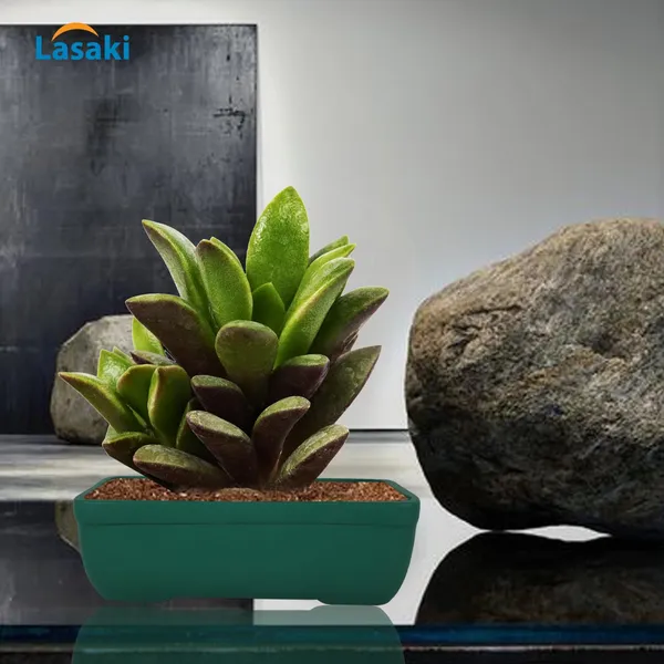 Rectangle_Deep_Jungle_Rec002_Ceramic_Pots_For_Indoor_Plants,Bonsai,Planters,Gamla,Outdoor,Balcony,Home,Garden,Office_Decor,Succulent(L_-_26_X_W_-_18.5_X_H_-_7_Cm)
