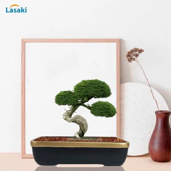 Rectangle_Black_Gold_Rec002_Ceramic_Pots_For_Indoor_Plants,Bonsai,Planters,Gamla,Outdoor,Balcony,Home,Garden,Office_Decor,Succulent(L_-_26_X_W_-_18.5_X_H_-_7_Cm)