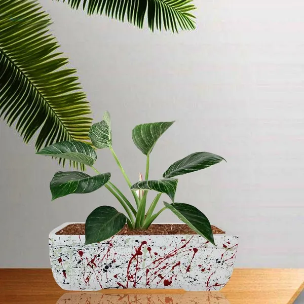 Rectangle_Multi_Rec002_Ceramic_Pots_For_Indoor_Plants,Bonsai,Planters,Gamla,Outdoor,Balcony,Home,Garden,Office_Decor,Succulent(L_-_26_X_W_-_18.5_X_H_-_7_Cm)