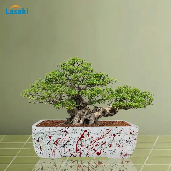 Rectangle_Multi_Rec002_Ceramic_Pots_For_Indoor_Plants,Bonsai,Planters,Gamla,Outdoor,Balcony,Home,Garden,Office_Decor,Succulent(L_-_26_X_W_-_18.5_X_H_-_7_Cm)