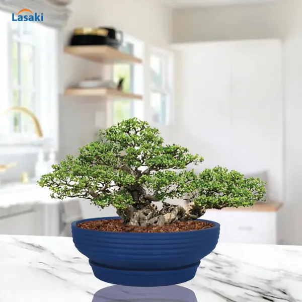 Camry_Medium_Blue_With_Plate_R6_Blue_Ceramic_Pots_For_Indoor_Plant,Bonsai,Planters,Gamla,Outdoor,Home,Garden,Succulent(Camry_Medium-H-7.5Cmxd-23Cm,Plate-H-2.5Xd-16)