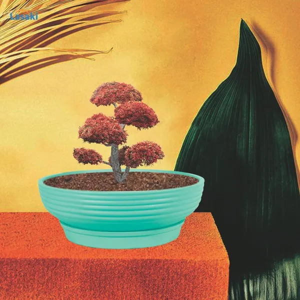 Camry_Medium_Aqua_With_Plate_R6_Aqua_Ceramic_Pots_For_Indoor_Plant,Bonsai,Planters,Gamla,Outdoor,Home,Garden,Succulent(Camry_Medium-H-7.5Cmxd-23Cm,Plate-H-2.5Xd-16)