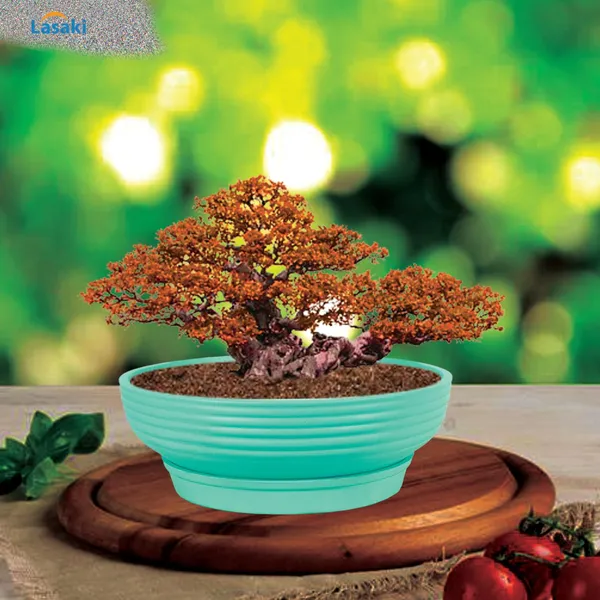 Camry_Medium_Aqua_With_Plate_R6_Aqua_Ceramic_Pots_For_Indoor_Plant,Bonsai,Planters,Gamla,Outdoor,Home,Garden,Succulent(Camry_Medium-H-7.5Cmxd-23Cm,Plate-H-2.5Xd-16)