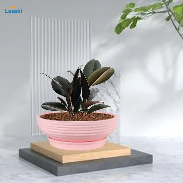 Camry_Medium_Pink_With_Plate_R6_Pink_Ceramic_Pots_For_Indoor_Plant,Bonsai,Planters,Gamla,Outdoor,Home,Garden,Succulent(Camry_Medium-H-7.5Cmxd-23Cm,Plate-H-2.5Xd-16)