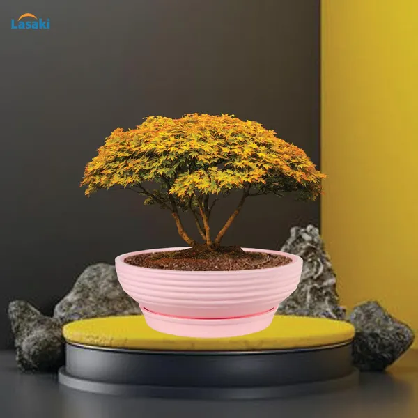 Camry_Medium_Pink_With_Plate_R6_Pink_Ceramic_Pots_For_Indoor_Plant,Bonsai,Planters,Gamla,Outdoor,Home,Garden,Succulent(Camry_Medium-H-7.5Cmxd-23Cm,Plate-H-2.5Xd-16)