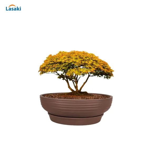 Camry_Medium_Truffle_With_Plate_R6_Truffle_Ceramic_Pots_For_Indoor,Bonsai,Planters,Gamla,Outdoor,Home,Garden(Camry_Medium-H-7.5Cmxd-23Cm,Plate-H-2.5Xd-16)