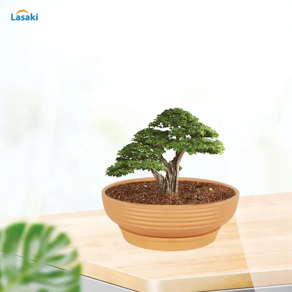 Camry_Medium_Ginger_With_Plate_R6_Ginger_Ceramic_Pots_For_Indoor,Bonsai,Gamla,Outdoor,Home,Garden(Camry_Medium-H-7.5Cmxd-23Cm,Plate-H-2.5Xd-16)