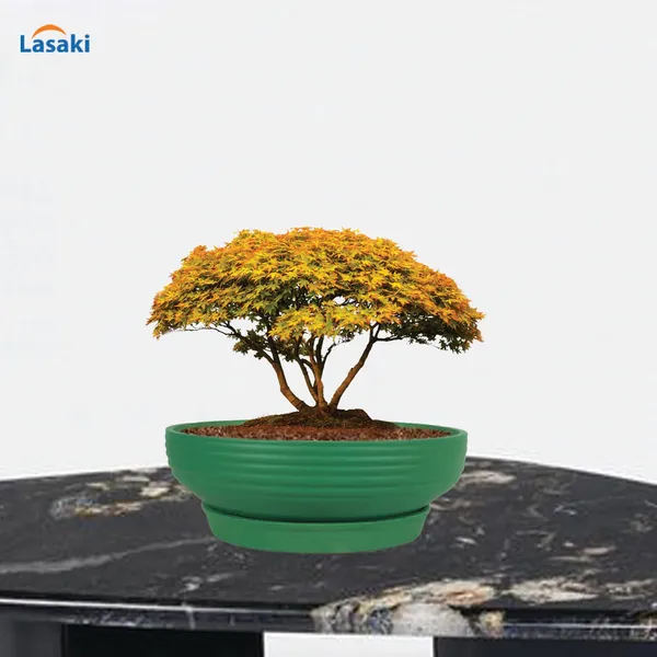 Camry_Medium_Deep_Jungle_With_Plate_R6_Deep_Jungle_Ceramic_Pots_For_Indoor,Bonsai,Planters,Home,Garden,Succulent(Camry_Medium-H-7.5Cmxd-23Cm,Plate-H-2.5Xd-16)