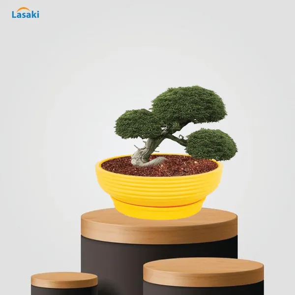 Camry_Medium_Saffron_With_Plate_R6_Saffron_Ceramic_Pots_For_Indoor,Bonsai,Planters,Gamla,Outdoor,Home,Garden(Camry_Medium-H-7.5Cmxd-23Cm,Plate-H-2.5Xd-16)