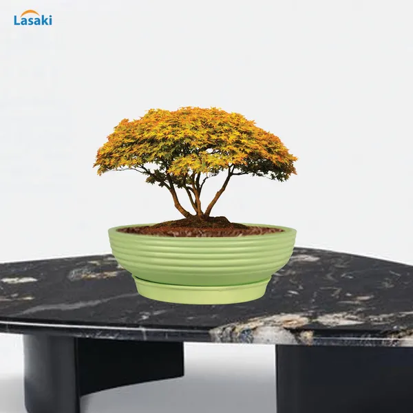 Camry_Medium_Mint_With_Plate_R6_Mint_Ceramic_Pots_For_Indoor_Plant,Bonsai,Planters,Gamla,Outdoor,Home,Garden,Succulent(Camry_Medium-H-7.5Cmxd-23Cm,Plate-H-2.5Xd-16)