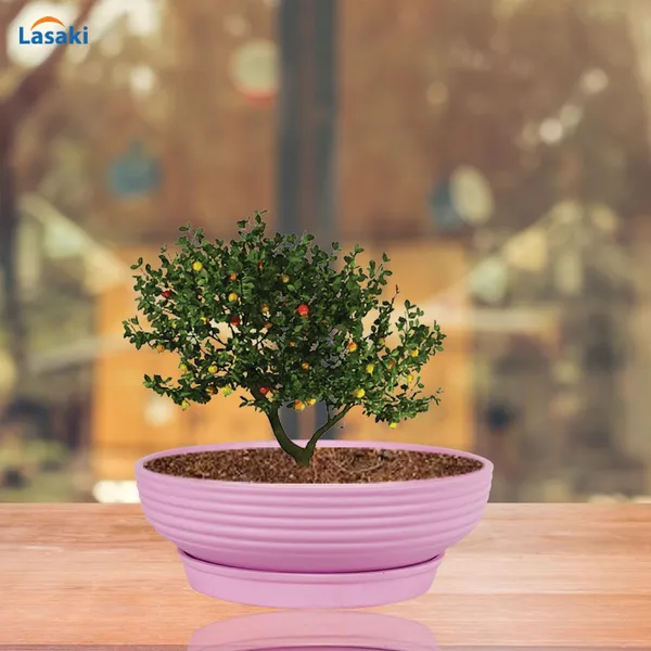 Camry_Medium_Purple_With_Plate_R6_Purple_Ceramic_Pots_For_Indoor,Bonsai,Planters,Gamla,Outdoor,Home,Garden,(Camry_Medium-H-7.5Cmxd-23Cm,Plate-H-2.5Xd-16)