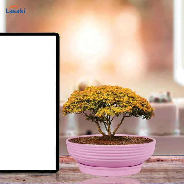 Camry_Medium_Purple_With_Plate_R6_Purple_Ceramic_Pots_For_Indoor,Bonsai,Planters,Gamla,Outdoor,Home,Garden,(Camry_Medium-H-7.5Cmxd-23Cm,Plate-H-2.5Xd-16)