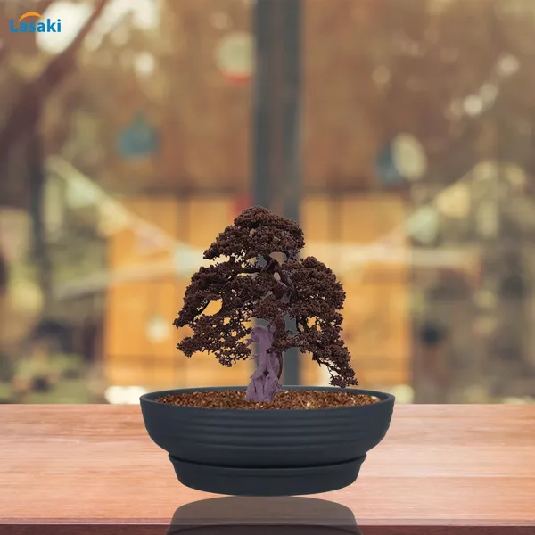 Camry_Medium_Black_With_Plate_R6_Black_Ceramic_Pots_For_Indoor_Plant,Bonsai,Planters,Gamla,Outdoor,Home,Garden,Succulent(Camry_Medium-H-7.5Cmxd-23Cm,Plate-H-2.5Xd-16)