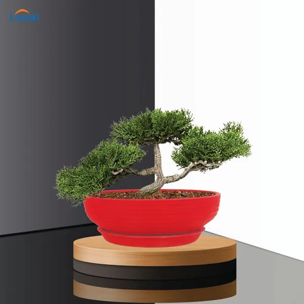 Camry_Medium_Red_With_Plate_R6_Red_Ceramic_Pots_For_Indoor_Plant,Bonsai,Planters,Gamla,Outdoor,Home,Garden,Succulent(Camry_Medium-H-7.5Cmxd-23Cm,Plate-H-2.5Xd-16)