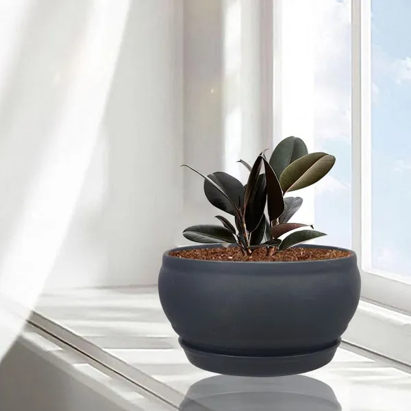 Bowl_Small_Black_With_Plate_Black_R4_Ceramic_Pots_For_Indoor_Plants,Planters,Flower,Gamla,Outdoor,Balcony,Home,Garden,Decor,Succulent(Bowl-H-8Cmxd-15Cm,Plate-H-2Xd-13Cm)
