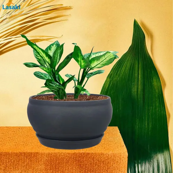 Bowl_Small_Black_With_Plate_Black_R4_Ceramic_Pots_For_Indoor_Plants,Planters,Flower,Gamla,Outdoor,Balcony,Home,Garden,Decor,Succulent(Bowl-H-8Cmxd-15Cm,Plate-H-2Xd-13Cm)