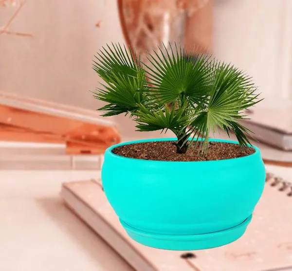 Bowl_Small_Aqua_With_Plate_Aqua_R4_Ceramic_Pots_For_Indoor_Plants,Planters,Flower,Gamla,Outdoor,Balcony,Home,Garden,Decor,Succulent(Bowl-H-8Cmxd-15Cm,Plate-H-2Xd-13Cm)