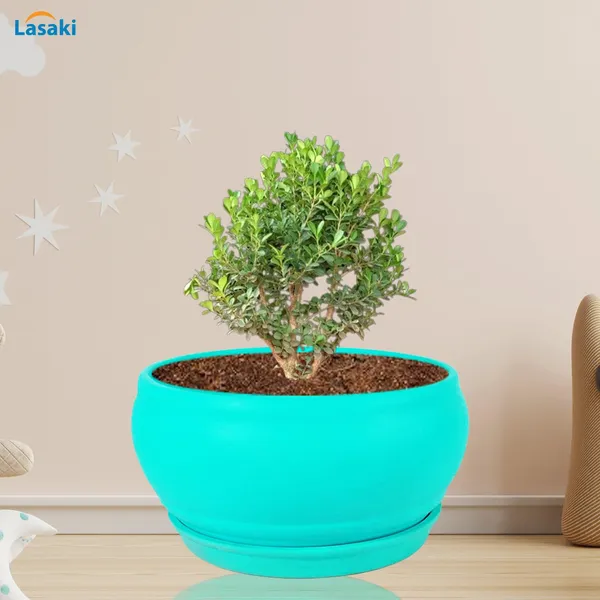Bowl_Small_Aqua_With_Plate_Aqua_R4_Ceramic_Pots_For_Indoor_Plants,Planters,Flower,Gamla,Outdoor,Balcony,Home,Garden,Decor,Succulent(Bowl-H-8Cmxd-15Cm,Plate-H-2Xd-13Cm)