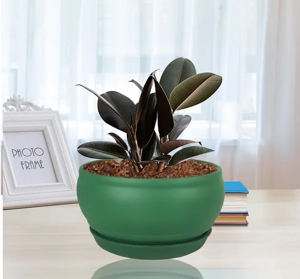 Bowl_Small_Deep_Jungle_With_Plate_Deep_Jungle_R4_Ceramic_Pots_For_Indoor_Planters,Flower,Gamla,Outdoor,Home,Garden,Decor,Succulent(Bowl-H-8Cmxd-15Cm,Plate-H-2Xd-13Cm)