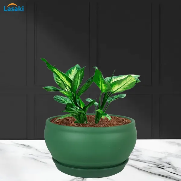 Bowl_Small_Deep_Jungle_With_Plate_Deep_Jungle_R4_Ceramic_Pots_For_Indoor_Planters,Flower,Gamla,Outdoor,Home,Garden,Decor,Succulent(Bowl-H-8Cmxd-15Cm,Plate-H-2Xd-13Cm)
