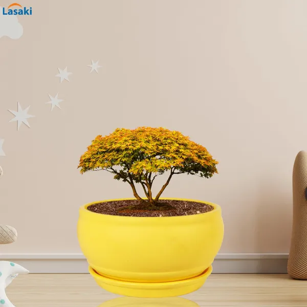 Bowl_Small_Saffron_With_Plate_Saffron_R4_Ceramic_Pots_For_Indoor_Plants,Planters,Flower,Gamla,Outdoor,Home,Garden,Decor,Succulent(Bowl-H-8Cmxd-15Cm,Plate-H-2Xd-13Cm)