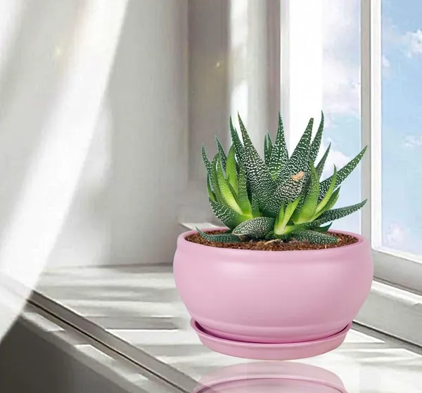 Bowl_Small_Purple_With_Plate_Purple_R4_Ceramic_Pots_For_Indoor_Plants,Planters,Flower,Gamla,Outdoor,Balcony,Home,Garden,Decor,Succulent(Bowl-H-8Cmxd-15Cm,Plate-H-2Xd-13Cm)