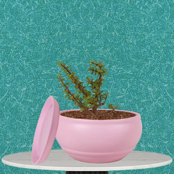 Bowl_Small_Purple_With_Plate_Purple_R4_Ceramic_Pots_For_Indoor_Plants,Planters,Flower,Gamla,Outdoor,Balcony,Home,Garden,Decor,Succulent(Bowl-H-8Cmxd-15Cm,Plate-H-2Xd-13Cm)