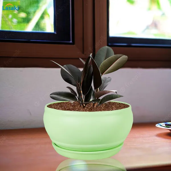 Bowl_Small_Mint_With_Plate_Mint_R4_Ceramic_Pots_For_Indoor_Plants,Planters,Flower,Gamla,Outdoor,Balcony,Home,Garden,Decor,Succulent(Bowl-H-8Cmxd-15Cm,Plate-H-2Xd-13Cm)