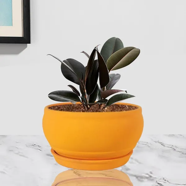 Bowl_Small_Lily_With_Plate_Lily_R4_Ceramic_Pots_For_Indoor_Plants,Planters,Flower,Gamla,Outdoor,Balcony,Home,Garden,Decor,Succulent(Bowl-H-8Cmxd-15Cm,Plate-H-2Xd-13Cm)