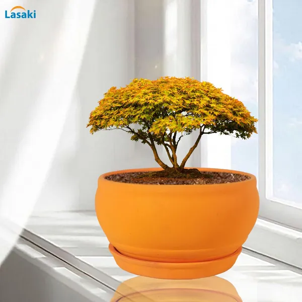 Bowl_Small_Lily_With_Plate_Lily_R4_Ceramic_Pots_For_Indoor_Plants,Planters,Flower,Gamla,Outdoor,Balcony,Home,Garden,Decor,Succulent(Bowl-H-8Cmxd-15Cm,Plate-H-2Xd-13Cm)