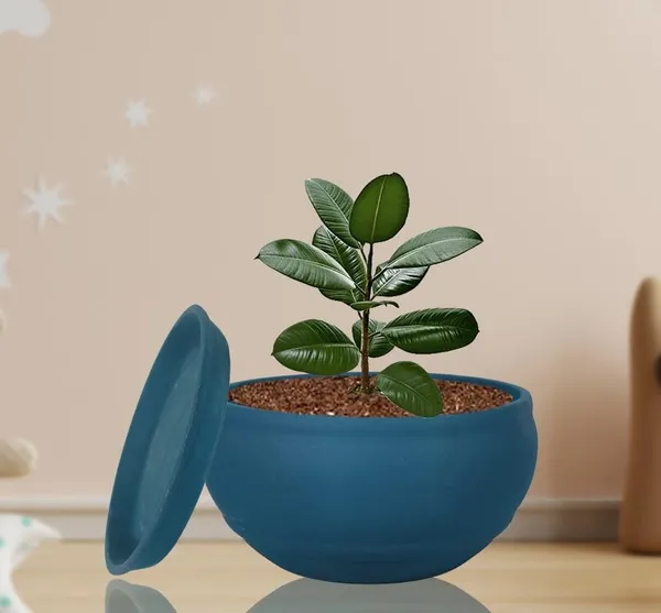 Bowl_Small_Blue_With_Plate_Blue_R4_Ceramic_Pots_For_Indoor_Plants,Planters,Flower,Gamla,Outdoor,Balcony,Home,Garden,Decor,Succulent(Bowl-H-8Cmxd-15Cm,Plate-H-2Xd-13Cm)