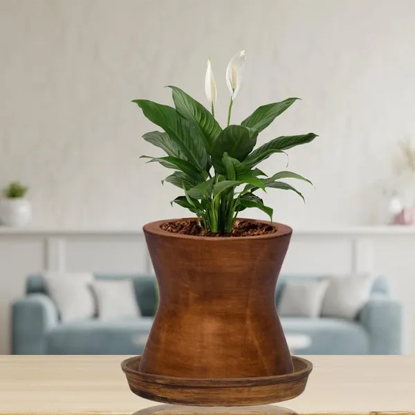 Damru_Antique_With_Plate_Antique_R4_Ceramic_Pots_For_Indoor_Plants,Planters,Flower,Gamla,Outdoor,Balcony,Home,Garden,Decor(Pot-H-11Cmxd-11Cm,Plate-H-2Xd-13Cm)