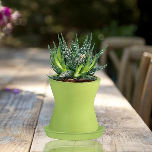 Damru_Mint_With_Plate_Mint_R4_Ceramic_Pots_For_Indoor_Plants,Planters,Flower,Gamla,Outdoor,Balcony,Home,Garden,Decor(Pot-H-11Cmxd-11Cm,Plate-H-2Xd-13Cm)