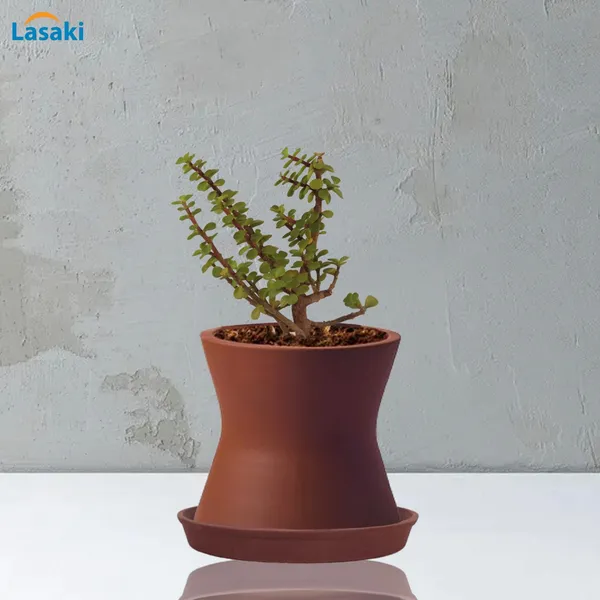 Damru_Truffle_With_Plate_Truffle_R4_Ceramic_Pots_For_Indoor_Plants,Planters,Flower,Gamla,Outdoor,Balcony,Home,Garden,Decor(Pot-H-11Cmxd-11Cm,Plate-H-2Xd-13Cm)