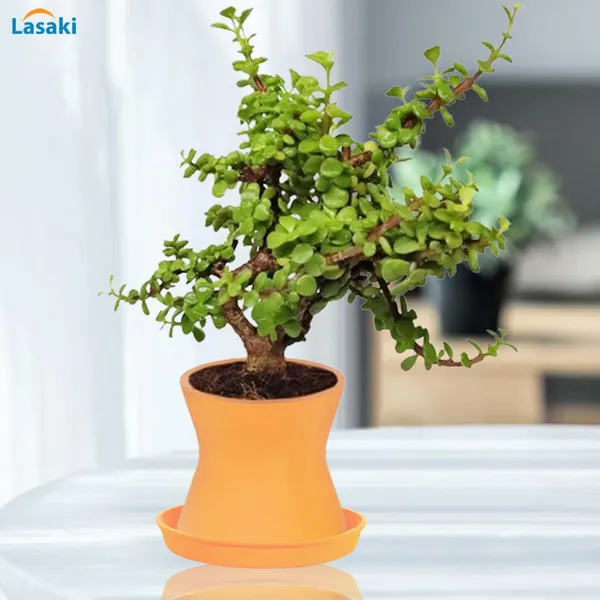 Damru_Lily_With_Plate_Lily_R4_Ceramic_Pots_For_Indoor_Plants,Planters,Flower,Gamla,Outdoor,Balcony,Home,Garden,Decor(Pot-H-11Cmxd-11Cm,Plate-H-2Xd-13Cm)