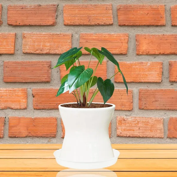 Damru_White_With_Plate_White_R4_Ceramic_Pots_For_Indoor_Plants,Planters,Flower,Gamla,Outdoor,Balcony,Home,Garden,Decor(Pot-H-11Cmxd-11Cm,Plate-H-2Xd-13Cm)