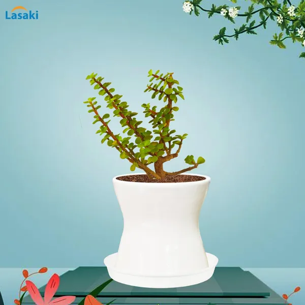 Damru_White_With_Plate_White_R4_Ceramic_Pots_For_Indoor_Plants,Planters,Flower,Gamla,Outdoor,Balcony,Home,Garden,Decor(Pot-H-11Cmxd-11Cm,Plate-H-2Xd-13Cm)
